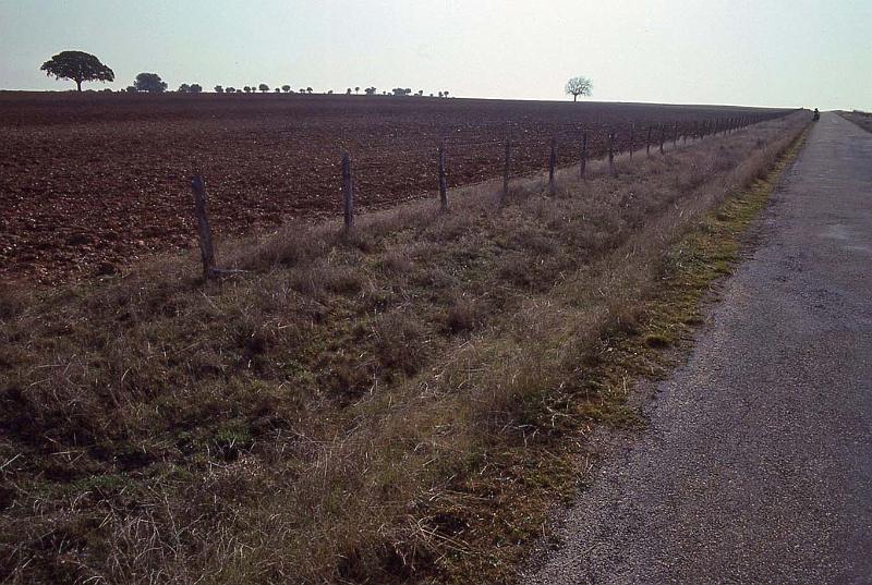 WT 2300 311-24 Spain.jpg